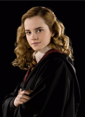 hermione_granger_-_Google_Search.png